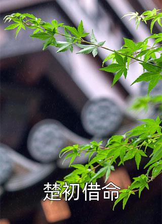 王星皓莫绮霜