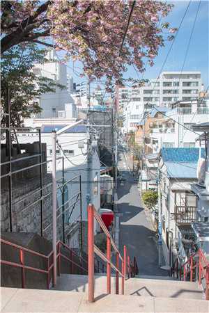 上司是个伪君子