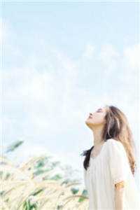 团宠小师妹受欺负后，我和师弟们疯了