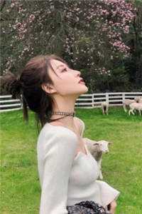 与君长诀绝