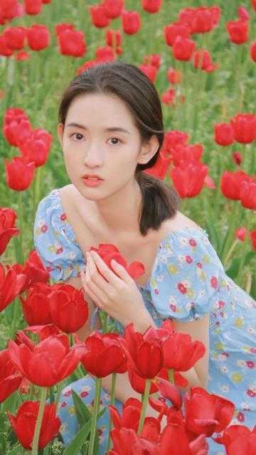 骨咒宋承安陈柒柒热门小说在线阅读_最新小说推荐骨咒(宋承安陈柒柒)