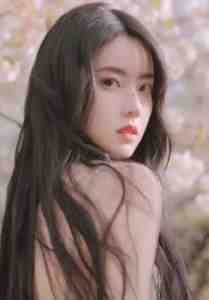 茉莉折枝无香