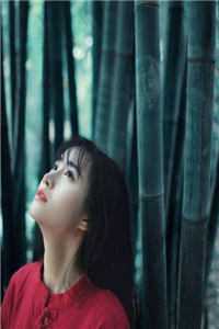 明月不归沉于海