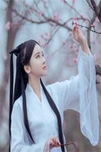 岁安月自明