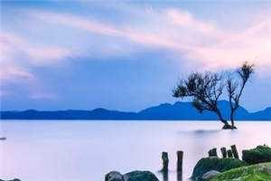 妹夫一家凌虐锦鲤妹妹后，他全家灭门了周泽川周泽宇热门小说免费阅读_热门小说排行榜妹夫一家凌虐锦鲤妹妹后，他全家灭门了周泽川周泽宇