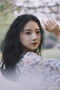 行走安阳：高考中的城市密码董作宾李济好看的完结小说_免费小说免费阅读行走安阳：高考中的城市密码董作宾李济