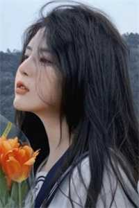 《谁同你恨海情天》沈慕城夏婉君热门小说_阅读免费小说《谁同你恨海情天》(沈慕城夏婉君)