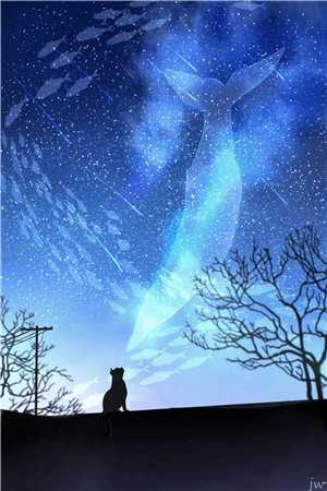 繁星亦被相爱
