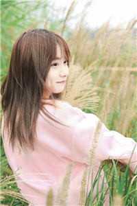 爱如烟雨镜中花