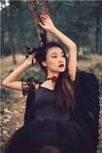 雾散故人迟陆清野苏莹最新完本小说推荐_完结小说免费阅读雾散故人迟(陆清野苏莹)