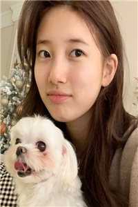 弟弟整容成首富之子后，他悔疯了(抖音热门)免费小说全集_最新小说弟弟整容成首富之子后，他悔疯了抖音热门