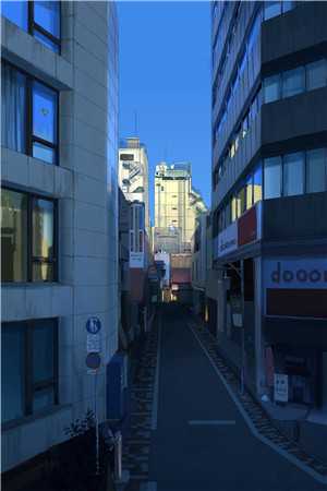 虚假替身