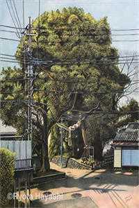 饥荒年：上山打猎带娇妻粱肉满仓