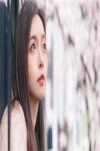 与君不再见明月