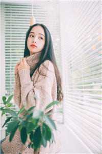 乍知春去，尚觉情深